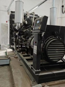 1000kw diesel generator 2