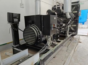 1000kw dizel generator 3