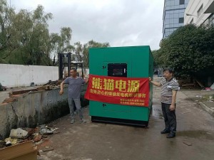 Pabrik Peralatan Perawatan Panas Suzhou nganyarke sistem tenaga, generator Panda Power 400kw minangka pilihan pertama4